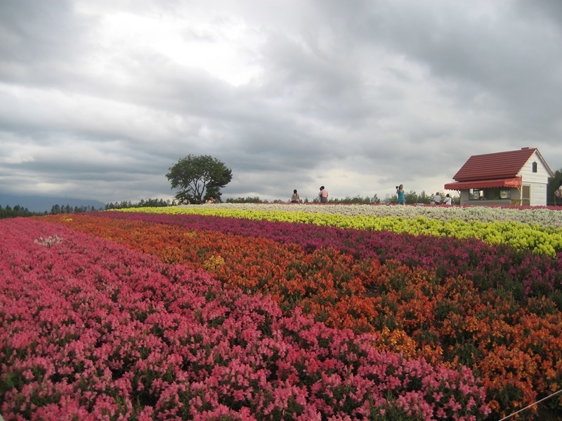 北海道１.JPG